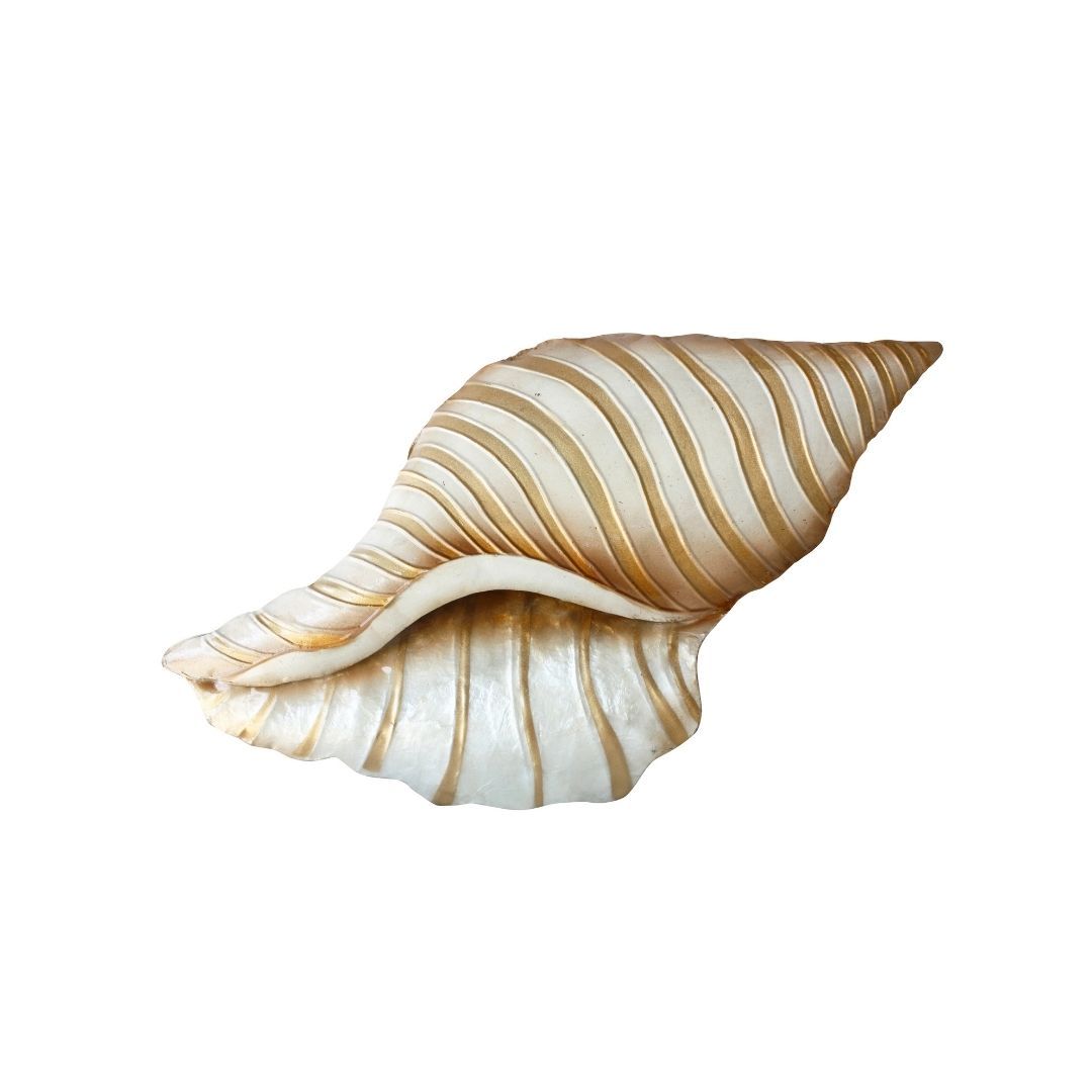 Capiz Beige Conch Shell Wallart
