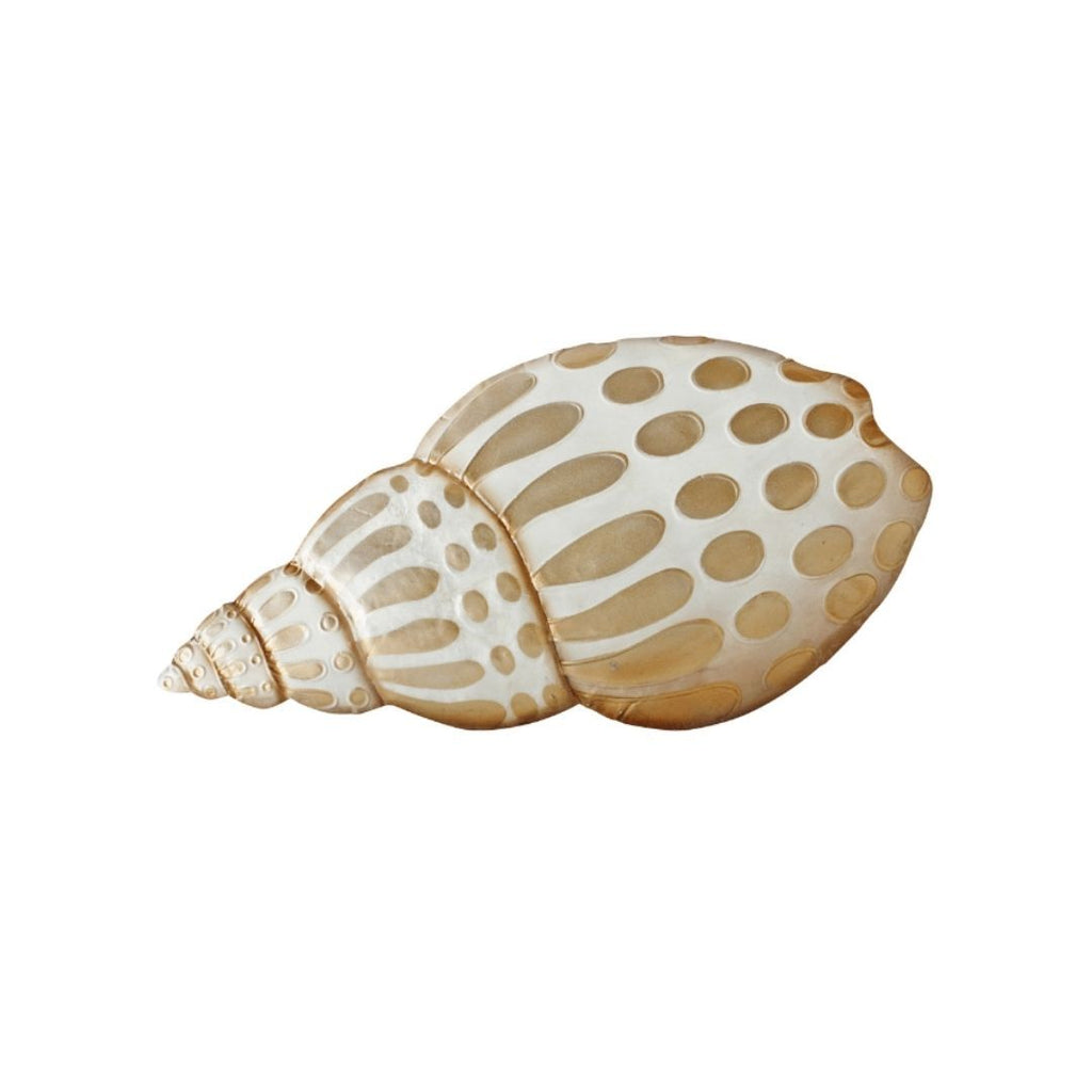 Capiz Beige Babylonia Shell Wall Art