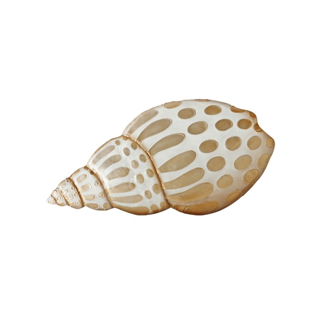 Capiz Beige Babylonia Shell Wall Art