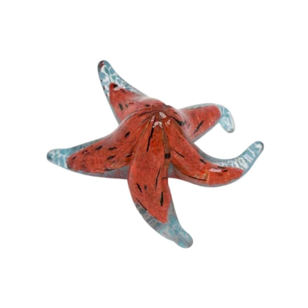 Cujo The Starfish