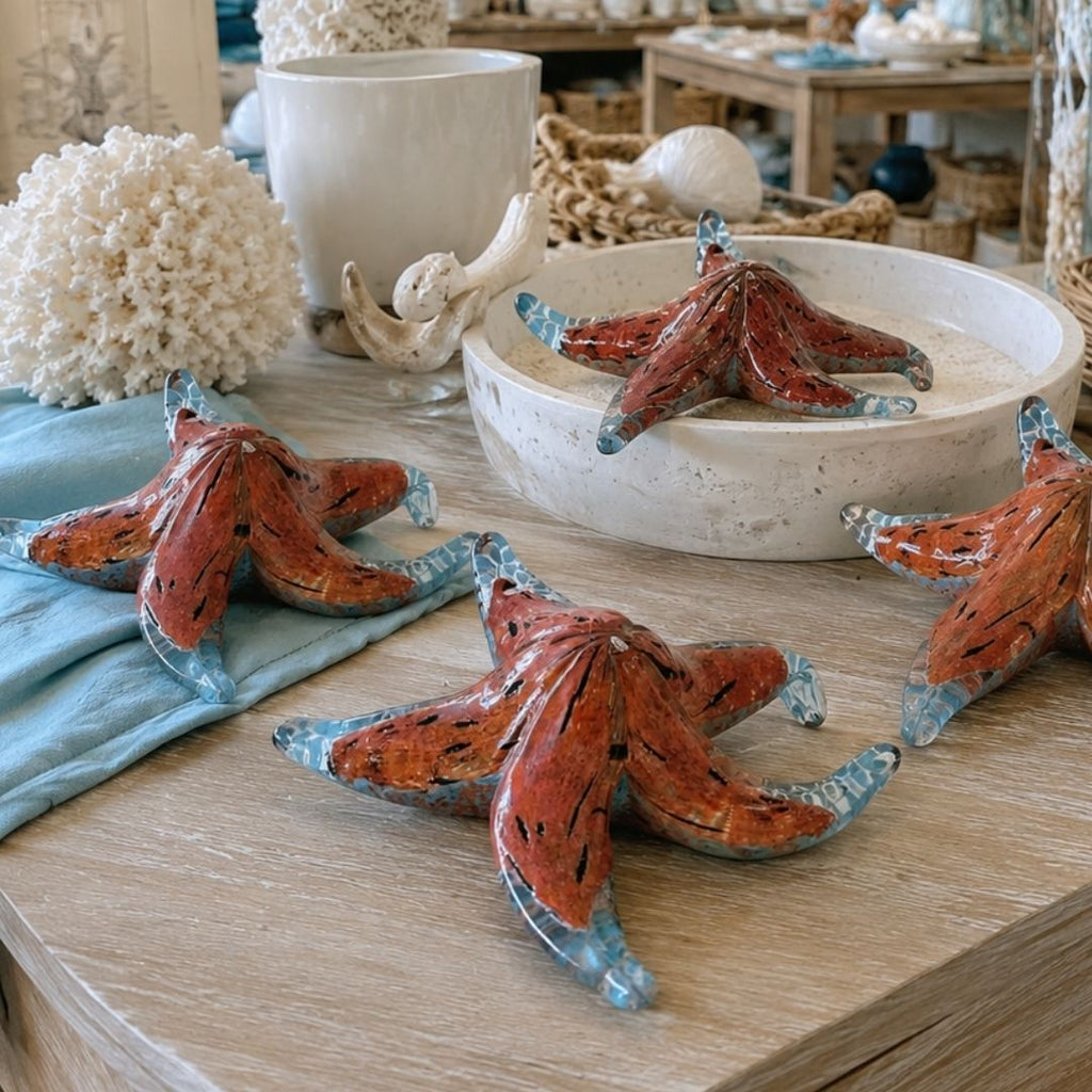 Cujo The Starfish