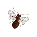 Buzley Bee Wall Art 38.5x37.5x10cm