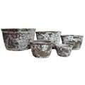 Succulent Tub Oceanic White [sz:x Large Clr:oceanic White]