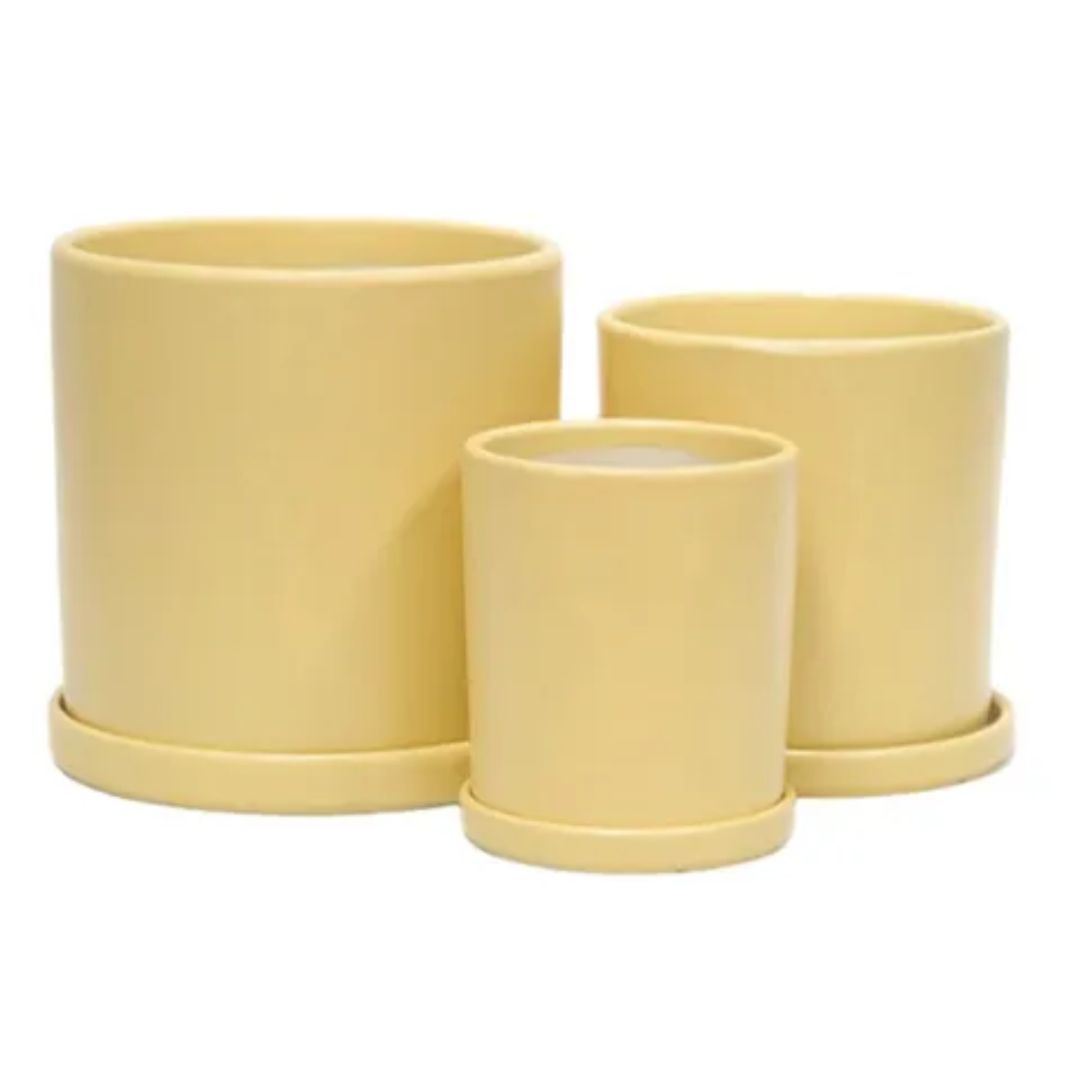 Timor Cylinder Yellow [sz:small Clr:yellow]