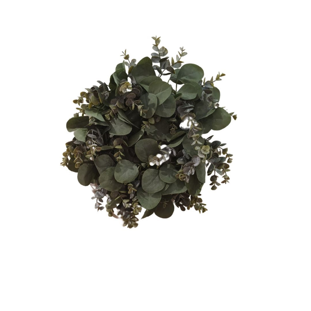 Wreath Silvergum Small