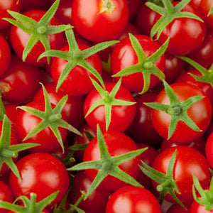 Tomato Cherry 100mm 