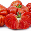 Tomato Heirloom Marriage Genuwine 100mm