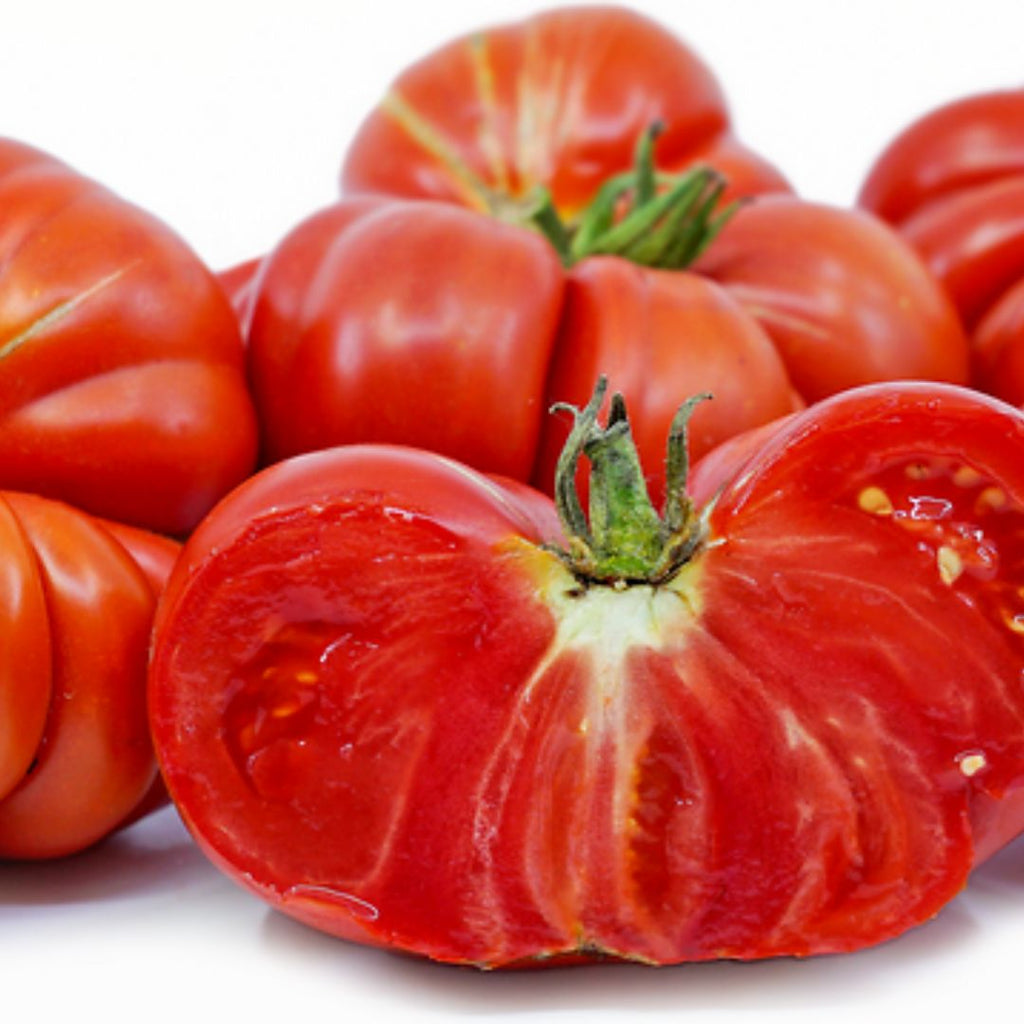 Tomato Heirloom Marriage Genuwine 100mm