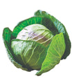 Cabbage Mini White Punnet