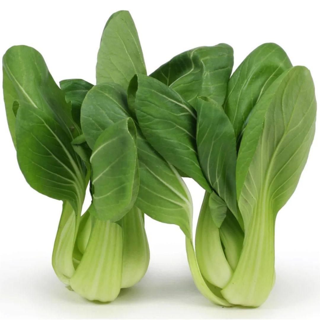 Pak Choi Green Punnet