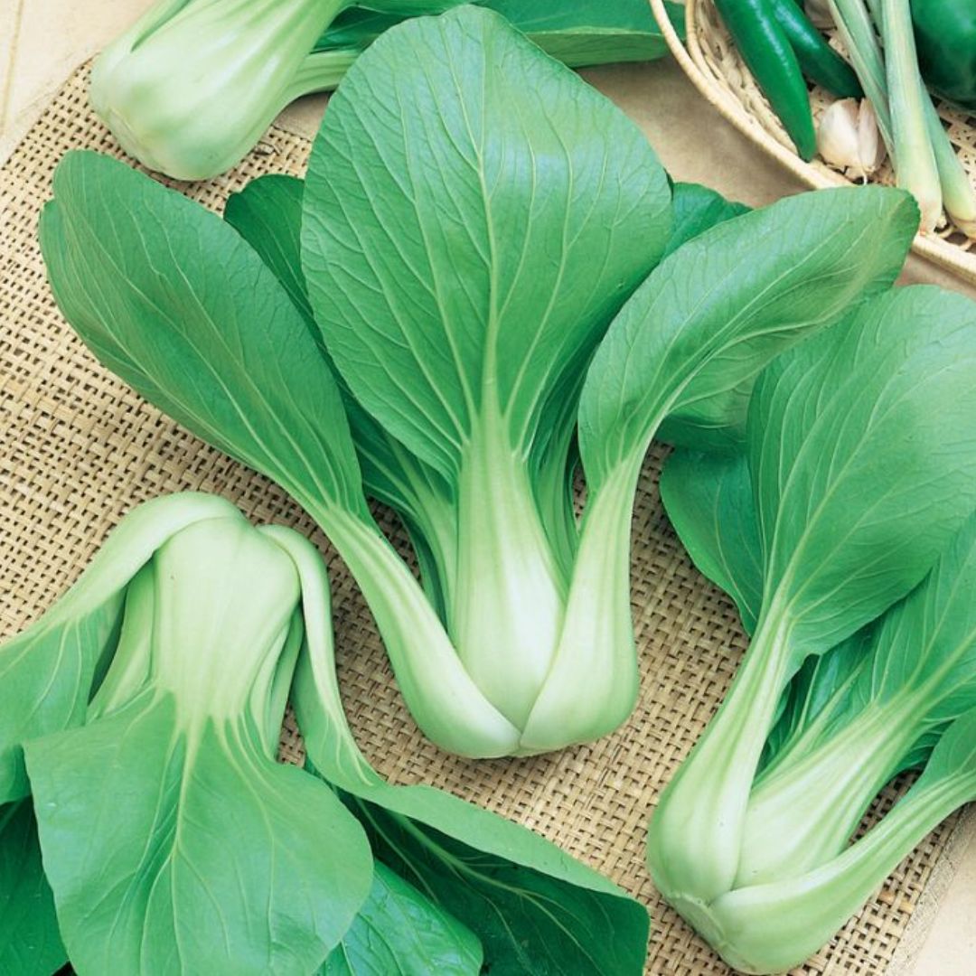 Bok Choi Green Punnet