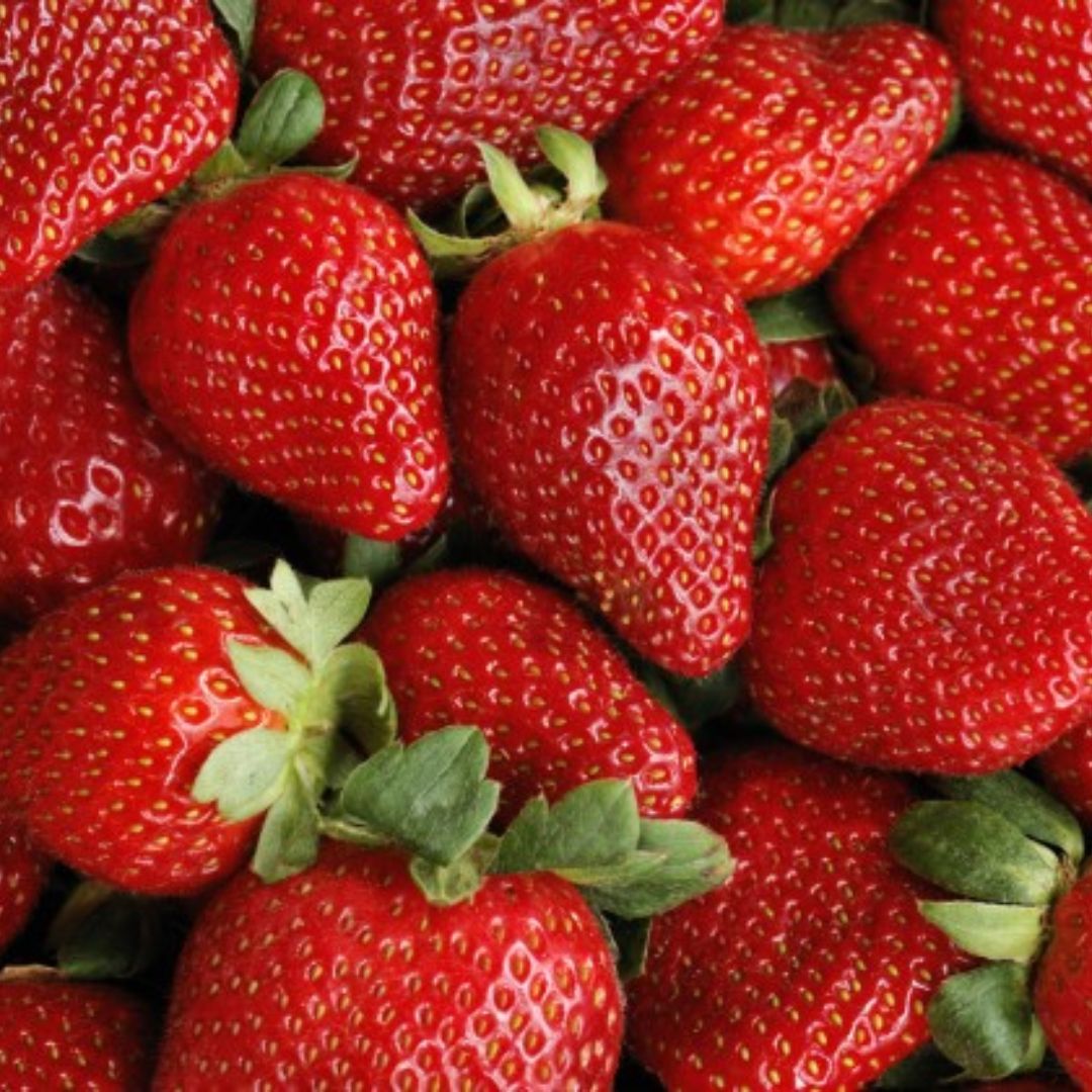 Strawberry Sweetheart 100mm