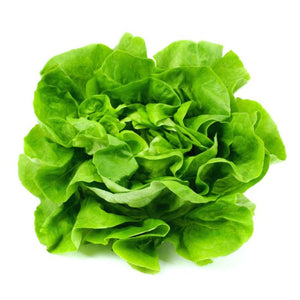 Lettuce Baby Butterhead Punnet