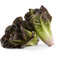 Lettuce Just Cos Punnet