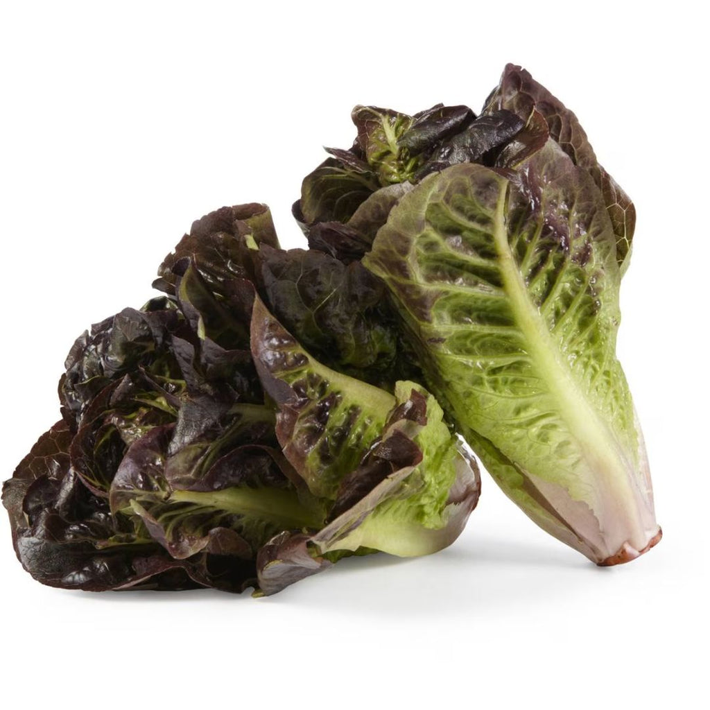 Lettuce Just Cos Punnet