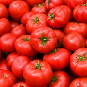 Tomato Apollo 100mm 
