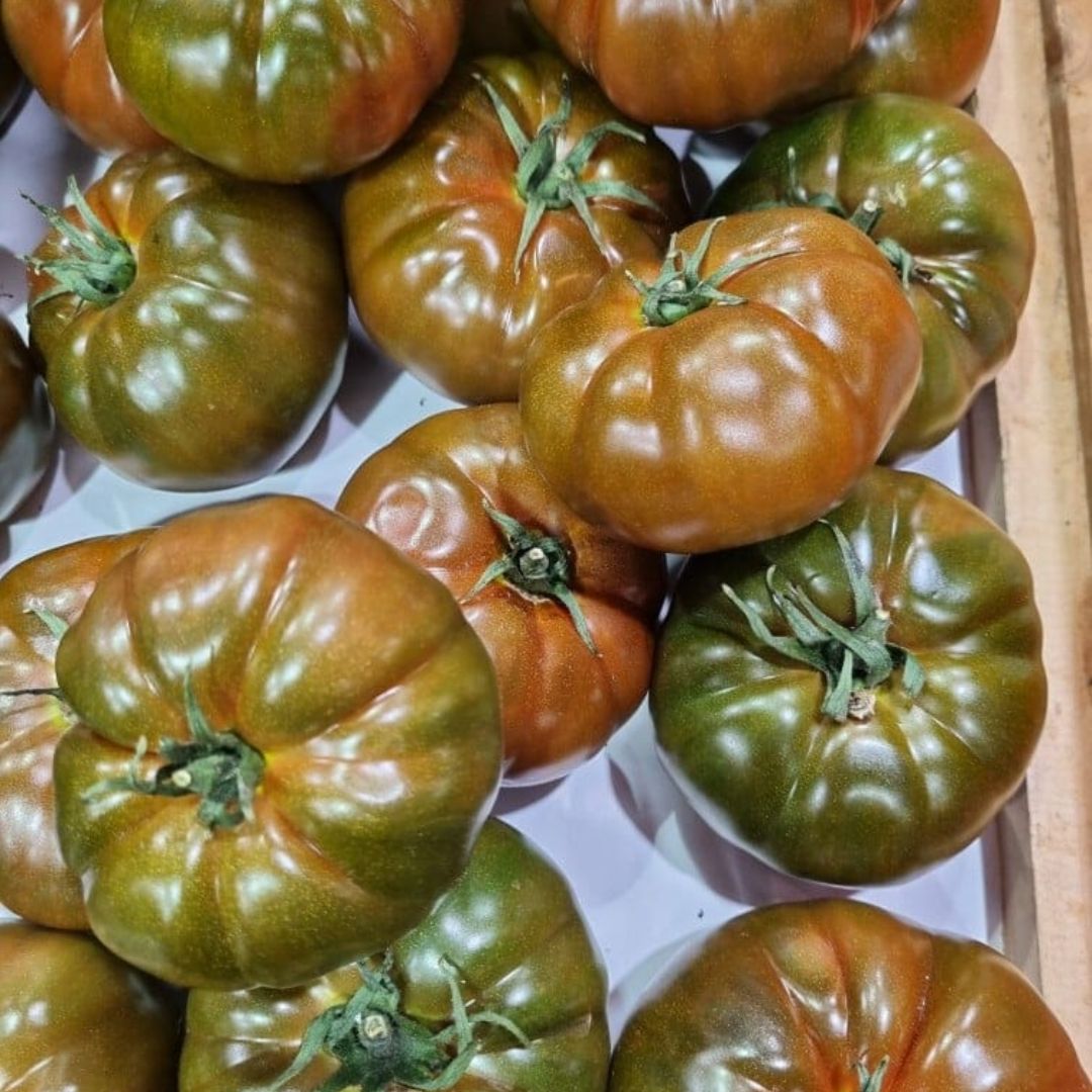Tomato Black Russian 100mm 