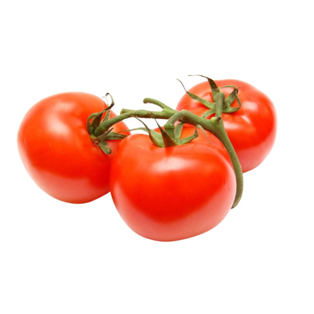 Tomato Patio Prize 100mm 