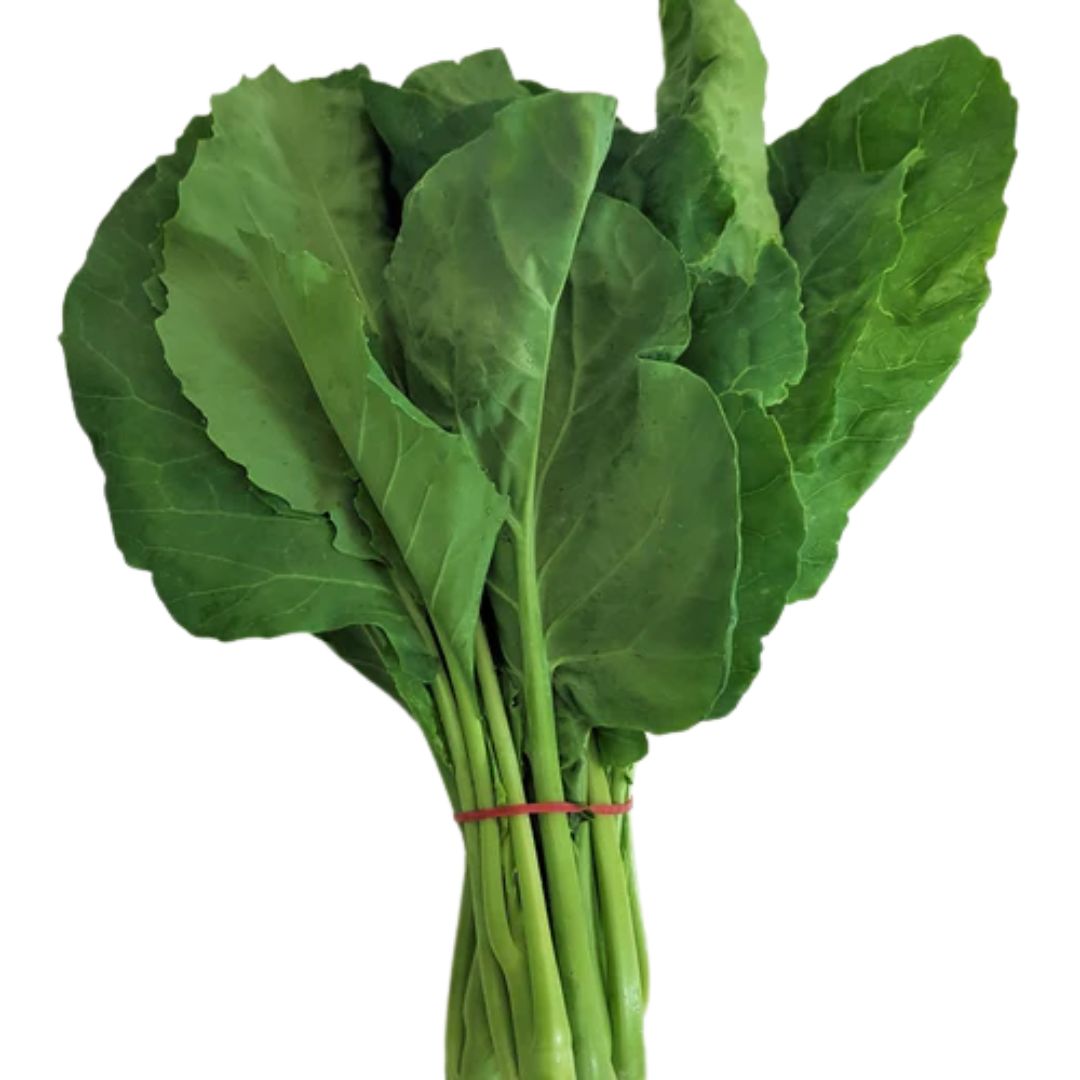 Asian Chinese Broccoli 100mm