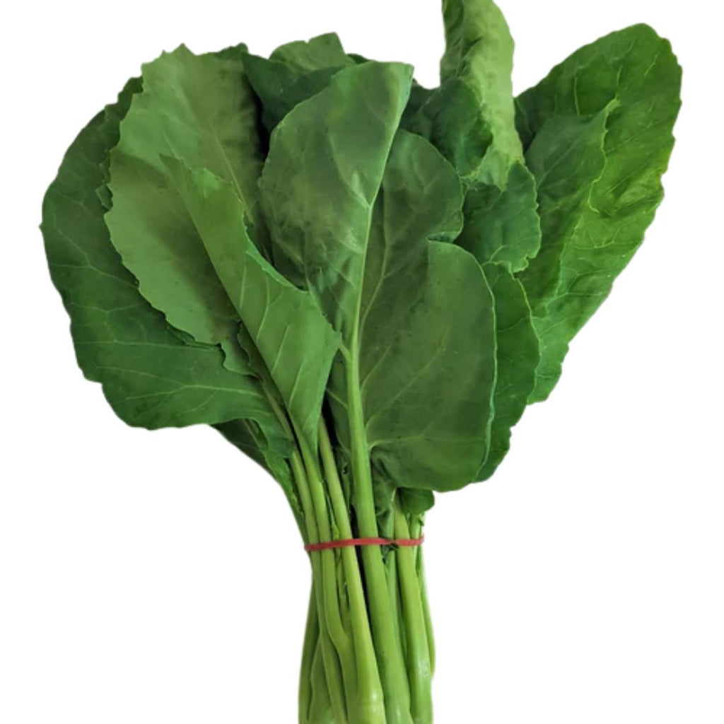Asian Chinese Broccoli 100mm