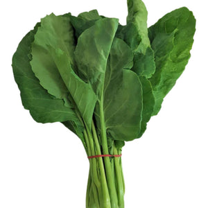 Asian Chinese Broccoli 100mm