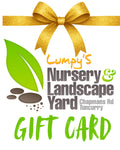 Lumpy's Online Gift Card