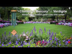 Load and play video in Gallery viewer, Woodstock Chimes Of Mercury Verdigris
